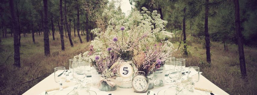 Décoration de voiture et salle de mariage